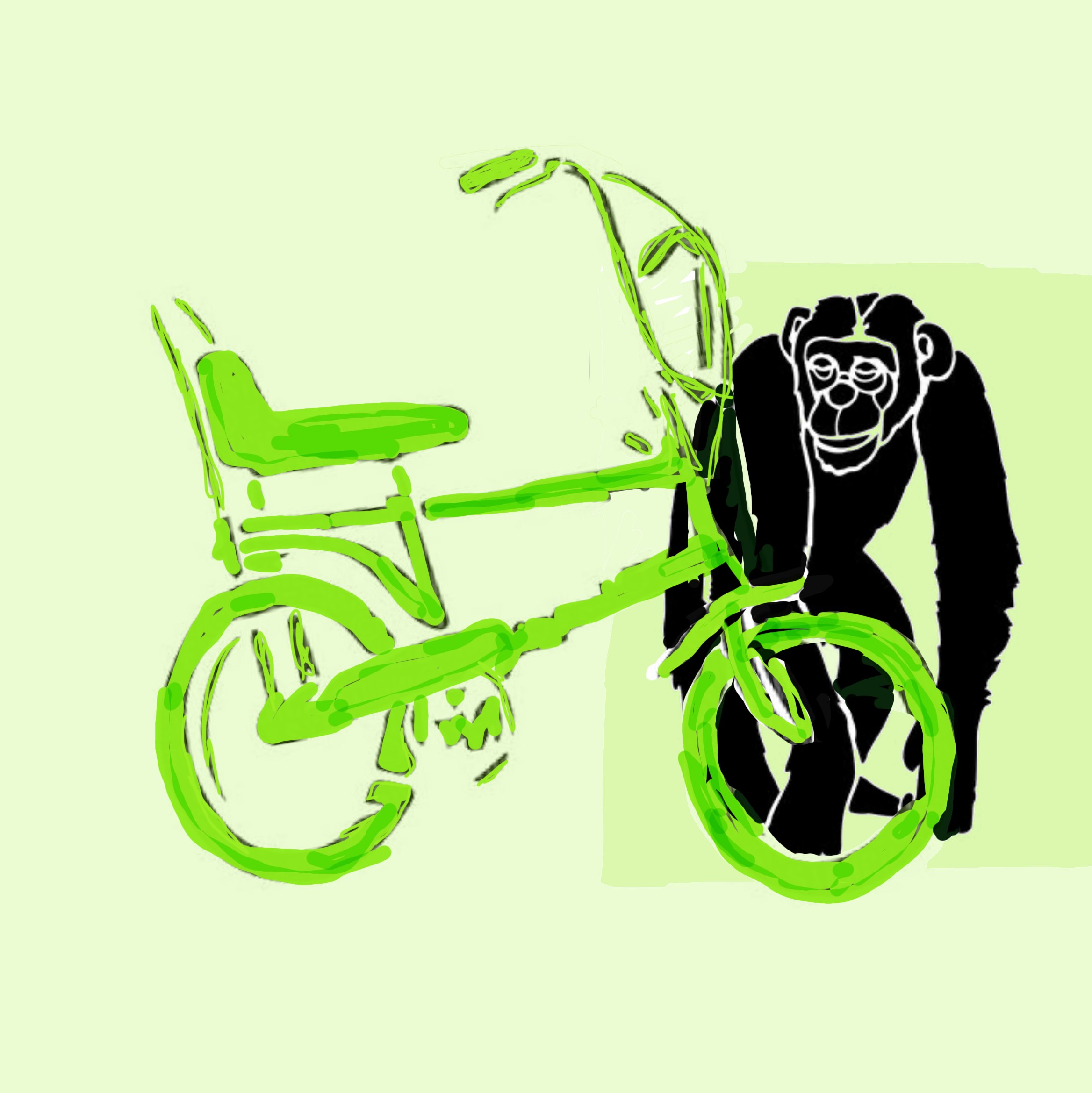 Monkey Stole My Bike